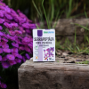 EDENPharma Serrapeptáza forte 250 000 I.U.  60 tbl