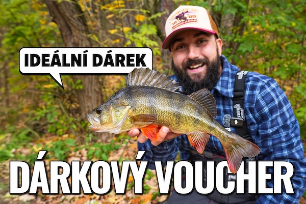 Nejlepší dárek, dárkový poukaz, voucher k Vánocům, velký okoun