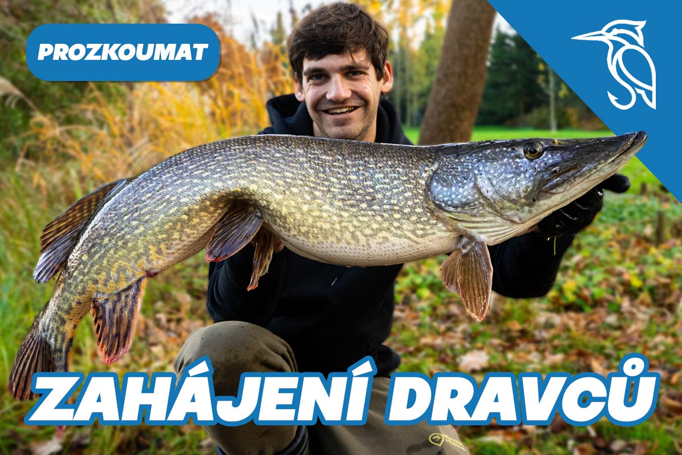Vše na dravce na start léta.