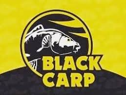Blackcarp logo