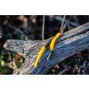 Mustard Mamba – Gumová nástraha Super Worm 70 mm – Eder x Harmony Baits – Drop #2