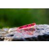 Pink Panther 10 cm – Gumová nástraha Kopyto – Drop #4