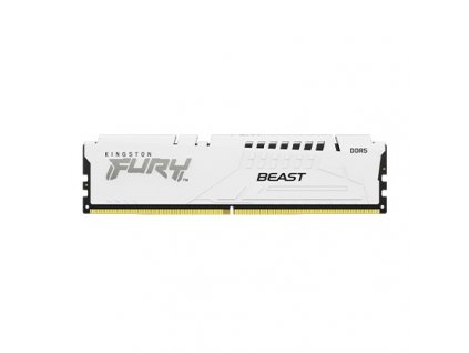 Kingston FURY Beast White/DDR5/16GB/5600MHz/CL40/1x16GB/White KF556C40BW-16