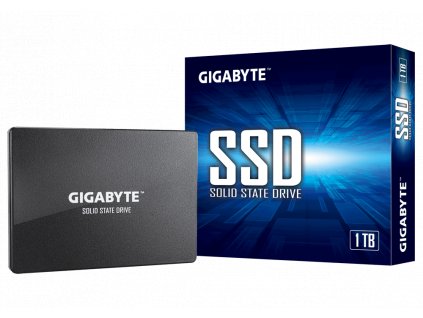 GIGABYTE SSD 1TB GP-GSTFS31100TNTD