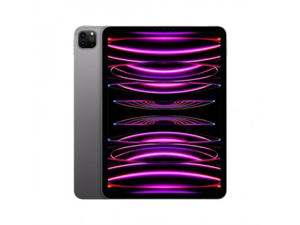 iPad Pro 11" Wi-Fi + Cellular 256GB Kozmický sivý (2022) MNYE3FD/A