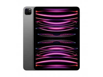 Apple iPad Pro 11''/WiFi/11''/2388x1668/8GB/128GB/iPadOS16/Space Gray MNXD3FD/A