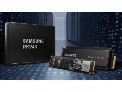 Samsung PM9A3 960GB U.2 NVMe PCIe 4.0 x4 MZQL2960HCJR-00A07