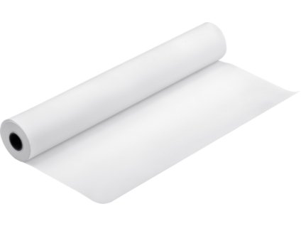 productpicture hires paperroll rny s