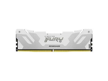 FURY Renegade Silver White DDR5 1 lg s