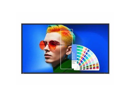 BENQ SL4304, LED Panel 43" 9H.S3KTB.DE2