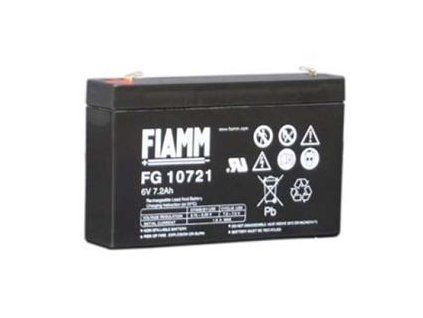 FG10721 s