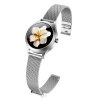 MAXCOM Fit FW42, Smart hodinky, strieborné FW42 Silver