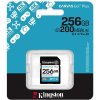 KINGSTON SDXC Canvas GO! Plus 256GB 200MB/s SDG4/256GB