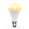WOOX R9074, WiFi Smart Bulb E27 RGB+CCT WiFi R9074