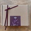 Box Kráska