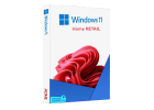 Windows 11