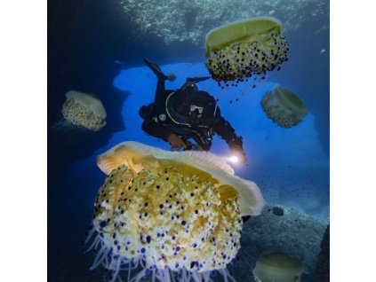 Screenshot 2025 12 23 at 16 52 51 Potápačský kurz AIR DILUENT CCR (BACKMONUT SIDEMOUNT) LEVEL 3