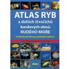 atlas ryb a dalsich zivocichu koralovych utesu rudeho more p... 9788073222536