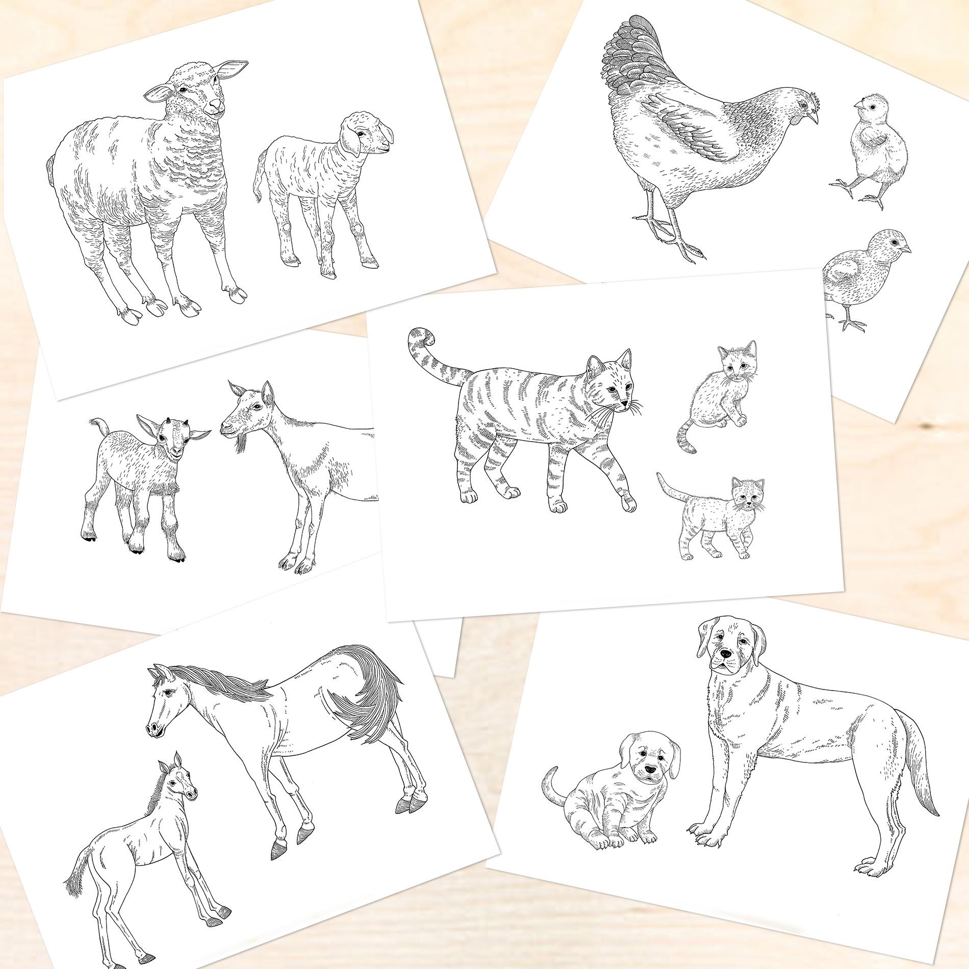 Ausmalbilder-tierbabys