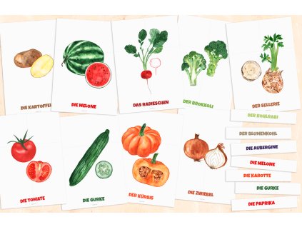 GEMÜSE - Große Demonstrationskarten: 21 Originalillustrationen für Unterricht und Dekoration im A4-Format (Format PDF)