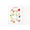 PAKET Obstbäume – Taschenatlas, Lernkarten, Lerngirlande + GRATIS Lernplakat (Format PDF)