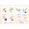 PAKET Obstbäume – Taschenatlas, Lernkarten, Lerngirlande + GRATIS Lernplakat (Format PDF)