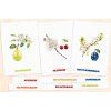 PAKET Obstbäume – Taschenatlas, Lernkarten, Lerngirlande + GRATIS Lernplakat (Format PDF)
