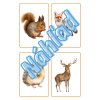 Kartičky lesných zvieratiek – Zvieratká, stopy, brlohy
