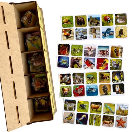Třídící boxy Zvirata trideni kategorizace hra loto habitat