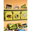 PSF110 Tridici boxy Zvirata trideni kategorizace hra loto 4