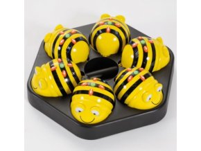 Bee Bot kit