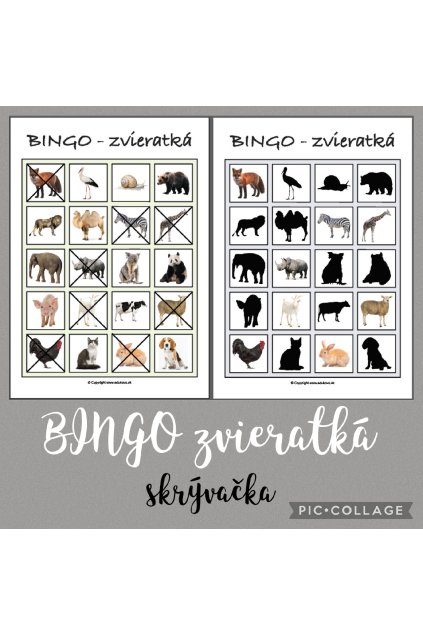 BINGO zvieratká - skrývačka