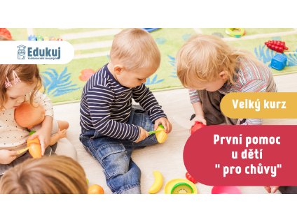 První pomoc u dětí pro chůvy (velký kurz) - červen 2026