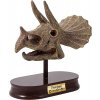 Výstavná lebka -  Triceratops (2131)