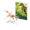 D6B Pteranodon plaque et modele