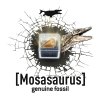445 mosasaurus