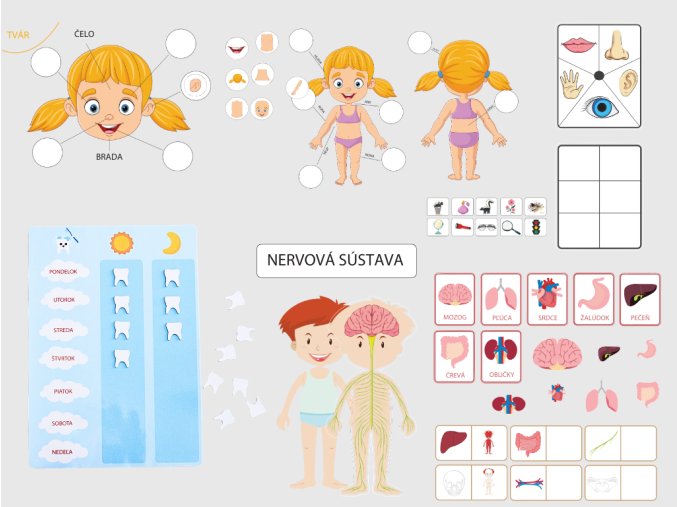 Copy of Button – kópia – kópia – kópia – kópia – kópia – kópia – kópia (2)