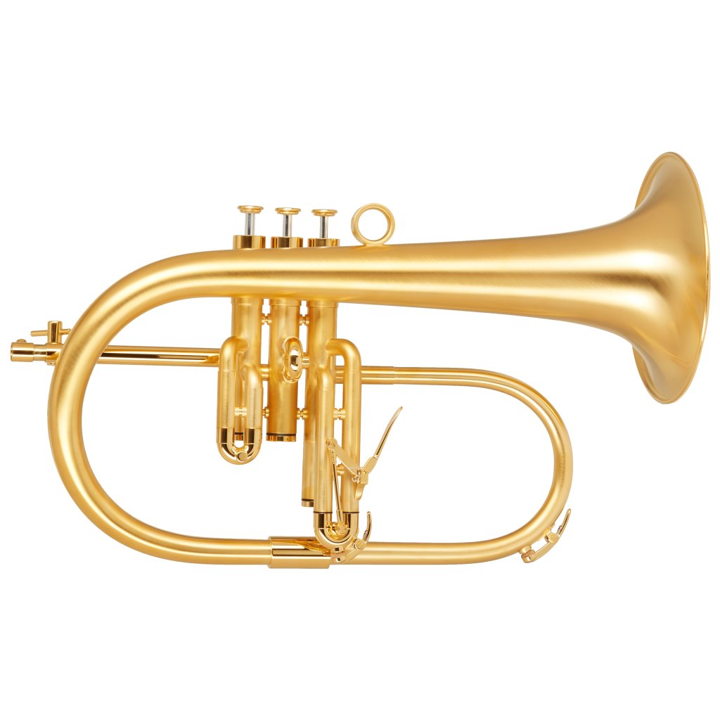 管楽器・吹奏楽器 Van Laar OIRAM Sandval gold-plated Van Laar OIRAM Sandval gold-plated