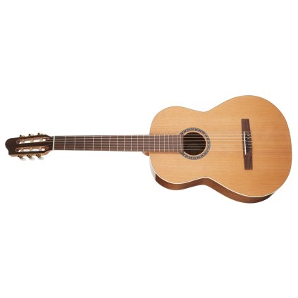 GODIN Concert Left