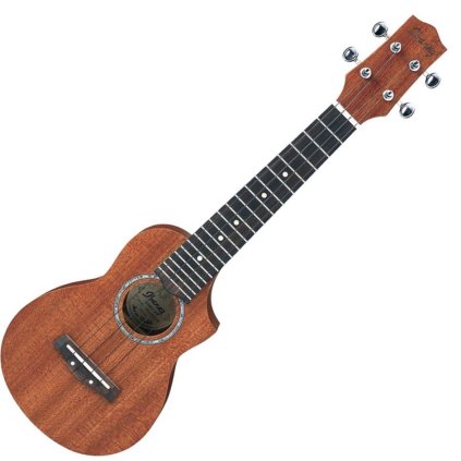 13467 ibanez uews5 opn