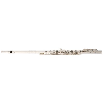 BACIO INSTRUMENTS BFL-100