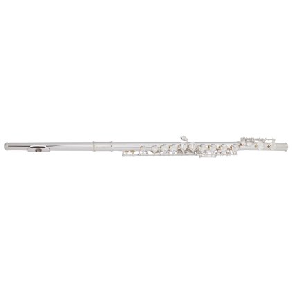 BACIO INSTRUMENTS BFL-150C