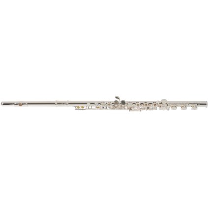 BACIO INSTRUMENTS BFL-150CO