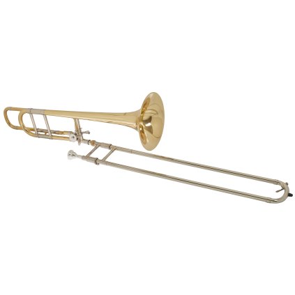 BACIO INSTRUMENTS BST-310