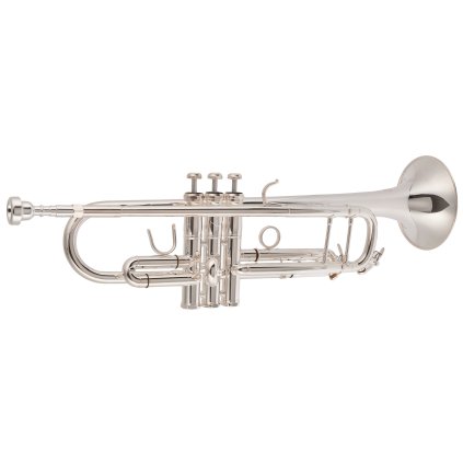 BACIO INSTRUMENTS BTR-100S