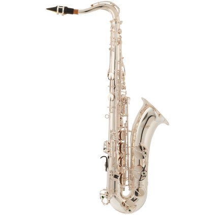 BACIO INSTRUMENTS BTS-100SG