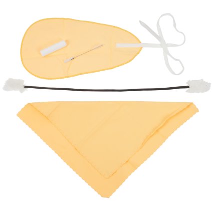 BACIO INSTRUMENTS Flute/Piccolo Care Kit