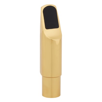 BACIO INSTRUMENTS SAM101