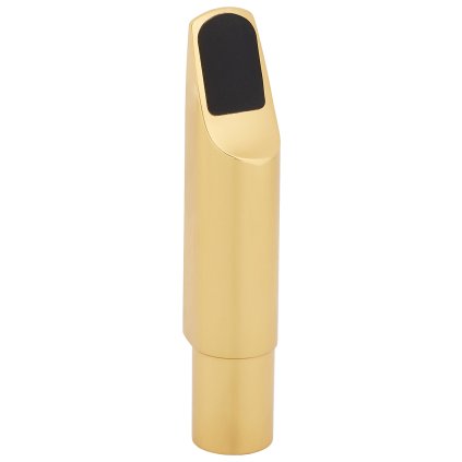 BACIO INSTRUMENTS STM101
