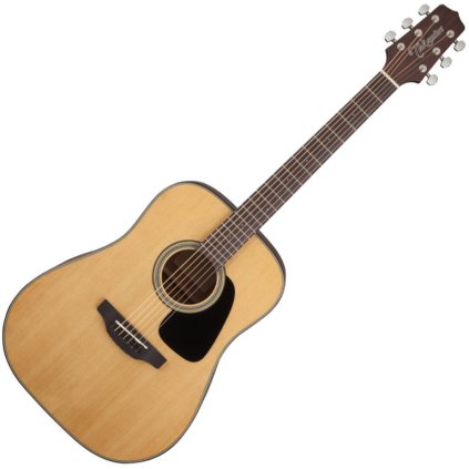 24615 takamine gd10 ns